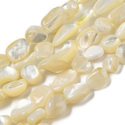 Natural White Shell Beads Strands, Nuggets, Beige, 8~19.5x8~13.5x3.8~9mm, Hole: 0.8mm, about 31~35pcs/strand, 14.57~15.16''(37~38.5cm)(SSHEL-H072-15)