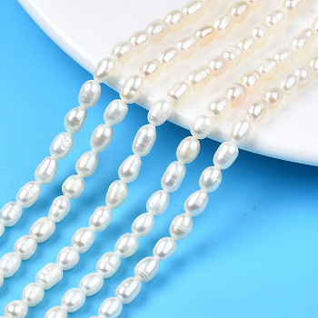 Natural Cultured Freshwater Pearl Beads Strands, Rice, Seashell Color, 5.5~9x4~5.5mm, Hole: 0.6mm, about 56~57pcs/strand, 13.94 inch~14.17 inch(35.4cm~36cm)