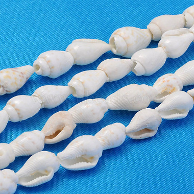 10mm White Shell Spiral Shell Beads