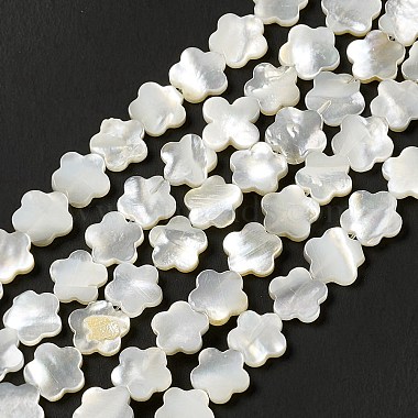 Natural White Shell Beads Strands(SHEL-F003-07)-2