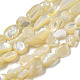 Natural White Shell Beads Strands(SSHEL-H072-15)-1