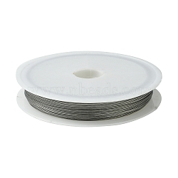 Tiger Tail Wire, Nylon-coated Stainless Steel, Silver, 0.38mm, 60m/roll, 10rolls/set(TWIR-R002-0.38mm-01)