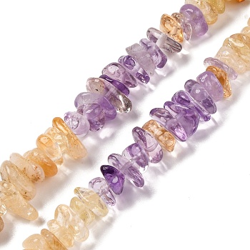 Natural Citrine & Amethyst Beads Strands, Chip, 4~17x4~10x1~8mm, Hole: 0.8~1mm, about 15.35~16.14 inch(39~41cm)