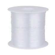 Nylon Wire, Clear, 0.45mm, about 32.8 yards(30m)/roll(NWIR-R0.45MM)