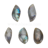 Natural Labradorite Pendants, Mixed Shape, 21~43.5x14~24.5x5~11mm, Hole: 1mm, 5pcs/set(G-GA0001-45)