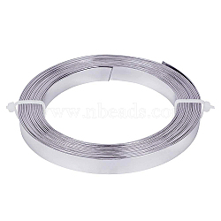 Aluminum Wire, Flat, Silver, 10x1mm, about 16.4 Feet(5m)/roll(AW-BC0003-04C-F)