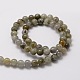 Natural Labradorite Round Beads Strands(G-E329-6mm-48)-2