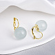 Brass with Resin Round Hoop Earrings(EJEW-Q391-09G-02)-1