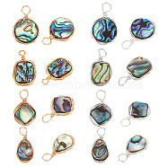 Elite 16Pcs 8 Styles Natural Abalone Shell/Paua Shell Pendants, with Eco-Friendly Copper Wire Wrapped, Rectangle & Rhombus & Teardrop & Flat Round & Square, Mixed Color, 16~19x9.5~15x3~4mm, Hole: 1.6~3mm, 2pcs/style(FIND-PH0008-89)