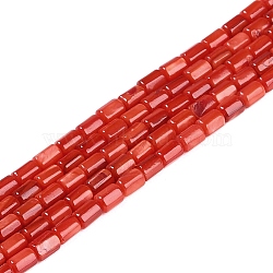 Natural Freshwater Shell Beads Strands, Dyed, Column, Red, 4.5~5x3~3.5mm, Hole: 0.6mm, about 77~79pcs/strand, 14.76~14.96''(37.5~38cm)(BSHE-H109-17D)