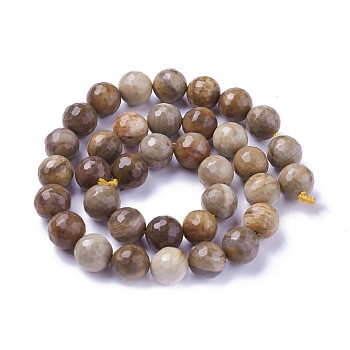 Natural Petrified Wood Beads Strands, Faceted, Round, 10mm, Hole: 1.2mm, about 39pcs/strand, 15.15 inch~15.7  inch(38.5~40cm)