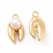 ABS Plastic Imitation Pearl Pendants, with Alloy Findings, Tooth Charm, Golden, 18x9.5x8mm, Hole: 1.8mm(FIND-A025-10G)