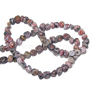 Natural Gemstone Strands, Leopard Skin Jasper, The beads about 3~5mm, hole: 0.8mm, 15.5 inch, 82pcs/strand, Colorful, 3~5mm,Hole:0.80mm, 15.5 inch, 82pcs/strand(G365-56-01)