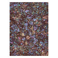 PVC Vinyl Sheets, Iridescent Magic Mirror Effect, Colorful, 30.3~30.4x20.2~20.4x0.04cm(DIY-WH0409-03)