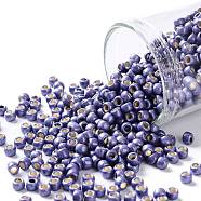 TOHO Round Seed Beads, Japanese Seed Beads, (PF567F) PermaFinish Purple Metallic Matte, 8/0, 3mm, Hole: 1mm, about 222pcs/10g(X-SEED-TR08-PF0567F)