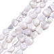 Chapelets de perles de coquille de trochid / trochus coquille(SSHEL-N032-49-A02)-1