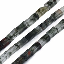 Natural African Bloodstone  Beads Strands, Cuboid, 4~5x2x2mm, Hole: 0.8mm, about 82~84pcs/strand, 14.76~15.15 inch(37.5~38.5cm)(G-S299-134)