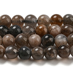 Natural Black Moonstone Beads Strands, Round, 4.5mm, Hole: 0.7mm, about 92pcs/strand, 15.55''(39.5cm)(G-A219-A01-01)