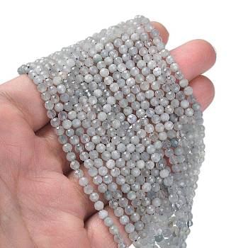 Natural Aquamarine Beads Strands, Faceted, Round, 4mm, Hole: 0.2mm, about 97~99pcs/strand, 15.04''~15.31''(38.2~38.9cm)