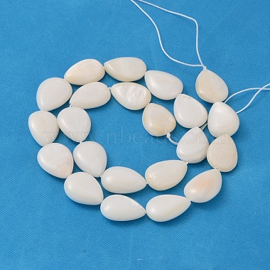 Shell normal de perles blanches de brins(X-PBB263Y-1)-2