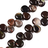 Natural Multi-Color Agate Beads Strands, Teardrop, Top Drilled, 12~12.5x10~11x5~5.5mm, Hole: 1~1.2mm, about 33pcs/strand, 8.86~10.2''(22.5~25.5cm)(G-T138-126)