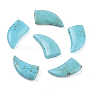 Natural Turquoise Cabochons, Horn, 21~22x12~13x1mm(G-Q186-02)