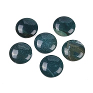 Natural Indian Agate Cabochons, Half Round/Dome, 25x5.5mm(G-H1596-FR-25mm-16)