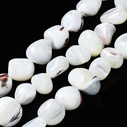Natural Trochid Shell/Trochus Shell Beads Strands, Nuggets, Bleach, Seashell Color, 4~12x7~9x4~8mm, Hole: 0.7mm, about 50~54pcs/strand, 15.35 inch(39cm)(SSHEL-S266-015A)