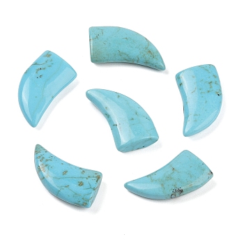 Natural Turquoise Cabochons, Horn, 21~22x12~13x1mm