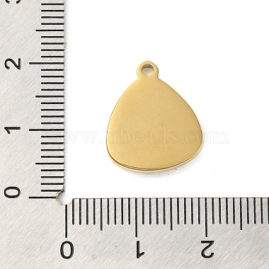 304 pendentifs en acier inoxydable(STAS-U023-05G)-3