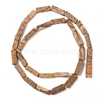 1 Strand Natural Picture Jasper Beads Strands, Cuboid, 12.5~13.5x3~5x3~4.5mm, Hole: 1mm, about 30~32pcs/strand, 15.1~15.9 inch(38.5~40.5cm)(G-YW0002-48)