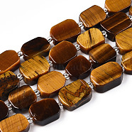 Natural Tiger Eye Beads Strands, with Seed Beads, Rectangle, 10~13.5x8~10x4~5mm, Hole: 0.9mm, Seed Beads: 3x3x2, hole: 0.8mm, about 28~29pcs/strand, 15.55''(39.5cm)(G-T138-01)