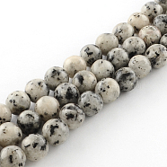 Dyed Natural Sesame Jasper Round Beads Strands, Gainsboro, 8mm, Hole: 1mm, about 48pcs/strand, 14.9 inch(G-R342-8mm-15)