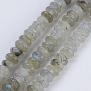 Natural Labradorite Beads Strands, Rondelle, 4.5~5x2~2.5mm, Hole: 0.8mm, about 162~166pcs/strand, 15.1  inch~15.3 inch(38.5~39cm)(G-P354-01-4x2mm)