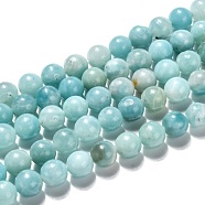 Natural Amazonite Beads Strands Grade A+, Round, 8mm, Hole: 1mm, about 49pcs/strand, 15.47 inch(39.3cm)(X-G-J388-01)