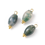 Natural Moss Agate Pendants, with Alloy Beads and Brass Loops, Oval Charm, Golden, 19x8.5x8.5mm, Hole: 2mm(PALLOY-JF01903)