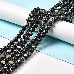 Synthetic Turquoise and Sea Shell Assembled Beads Strands, Dyed, Round, Black, 4mm, Hole: 0.6mm, about 92pcs/strand, 15.55''(39.5cm)(G-D482-01A-01)