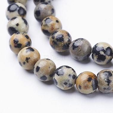 Natural Dalmatian Jasper Beads Strands(X-GSR6mmC004)-2