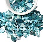 Dyed Natural Mother of Pearl Shell Nuggets Chips Beads, Light Sea Green, 5~18x5~11mm, Hole: 1.2mm, about 1980pcs/500g(BSHE-O007-10A)