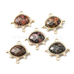 Natural Rhodonite Links, with Light Gold Plated Edge Brass Loops and Crystal Rhinestone, Faceted, Eye, 21x20x5mm, Hole: 1.2mm and 1.6mm(CE-L022-B06)
