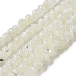 Natural Trochus Shell Beads Strands, Round, Floral White, 4~4.5x4mm, Hole: 0.5mm, about 91~93pcs/strand, 15.35~15.55''(39~39.5cm)(SSHEL-H072-13B)