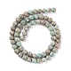 Natural Maifanite/Maifan Stone Beads Strands(G-P451-01B-D)-3