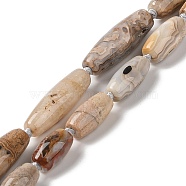 Natural Mexican Lace Agate Beads Strands, Rice, 14~33x8~11mm, Hole: 2mm, about 12~21pcs/strand, 16.93''~17.32(43~44cm)(G-NH0010-I03-01)