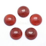 Natural Carnelian Cabochons, Half Round, 12x5~6mm(G-P393-R37-12mm)