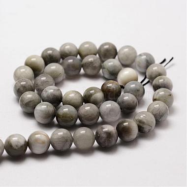 Natural Hawk's Eye Round Beads Strands(G-O143-01-10mm)-2