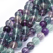 Natural Fluorite Beads Strands, Round, 10mm, Hole: 1mm, about 40pcs/strand, 15.7 inch(40cm)(G-I249-B02-03)