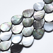 Natural Black Lip Shell Beads, Teardrop, 17.5~18x12~13x3~3.5mm, Hole: 1mm(SSHEL-N036-036)