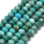 Natural HuBei Turquoise Beads Strands, Faceted, Rondelle, 5.5~6x4~4.5mm, Hole: 0.7mm, about 89~90pcs/strand, 15.04~15.35 inch(38.2~39cm)(G-G106-A44-03)