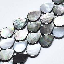 Natural Black Lip Shell Beads, Teardrop, 18x14x4mm, Hole: 0.6mm(SSHEL-N036-036)
