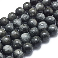 Natura Hawk's Eye Beads Strands, Eagle Eye Stone, Grade A, Round, 12mm, Hole: 1mm, about 33pcs/Strand, 15.75 inch(40 cm)(G-D0001-22A-12mm)